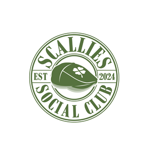 Logo Design by Krold IT Solutions for this project | Design: #32672115