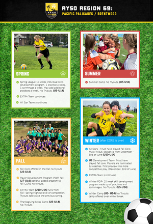 Infographic Design by Danny Designs & Media for this project | Design: #32698757