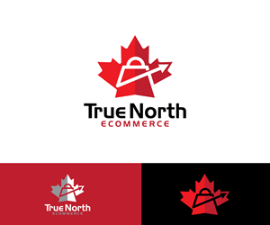 Logo Design by Ansh Design for this project | Design: #32682868