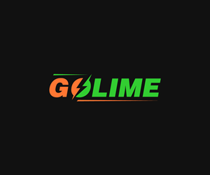 Logo Design by Ansh Design for this project | Design: #32712137