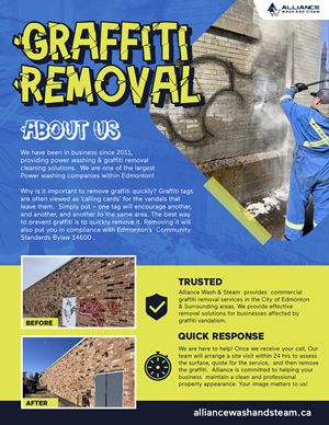 Flyer-Design von Transformed Design Inc. für Alliance Vac Services Ltd | Design #32712967