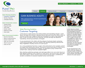 Web Design by LogoDesigns.ae for PlanetPro Inc. | Design: #69985