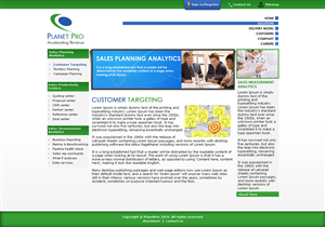 Web Design by LogoDesigns.ae for PlanetPro Inc. | Design: #70254