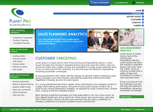 Web Design by LogoDesigns.ae for PlanetPro Inc. | Design: #70862