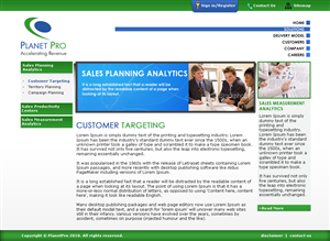 Web Design by LogoDesigns.ae for PlanetPro Inc. | Design: #70870