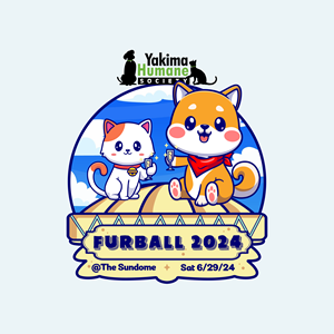 Logo Design by Yugen Labs