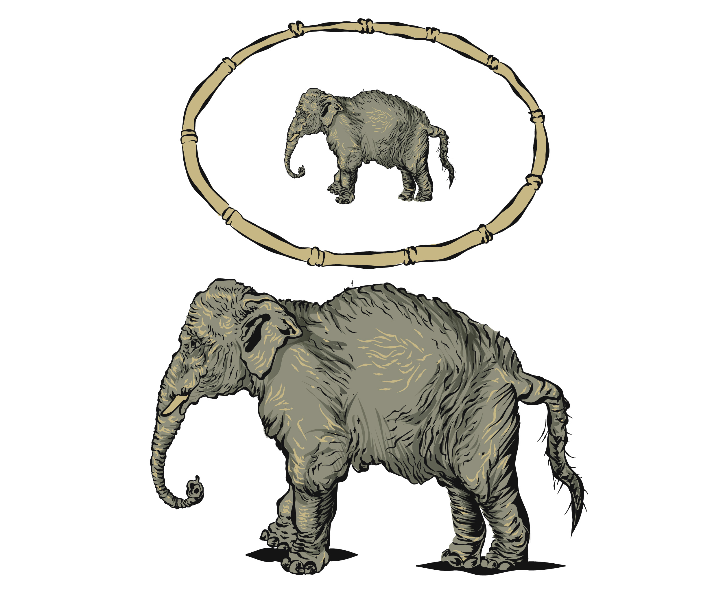 Design Illustration par Baraka Joe pour ce projet | Design #32744181