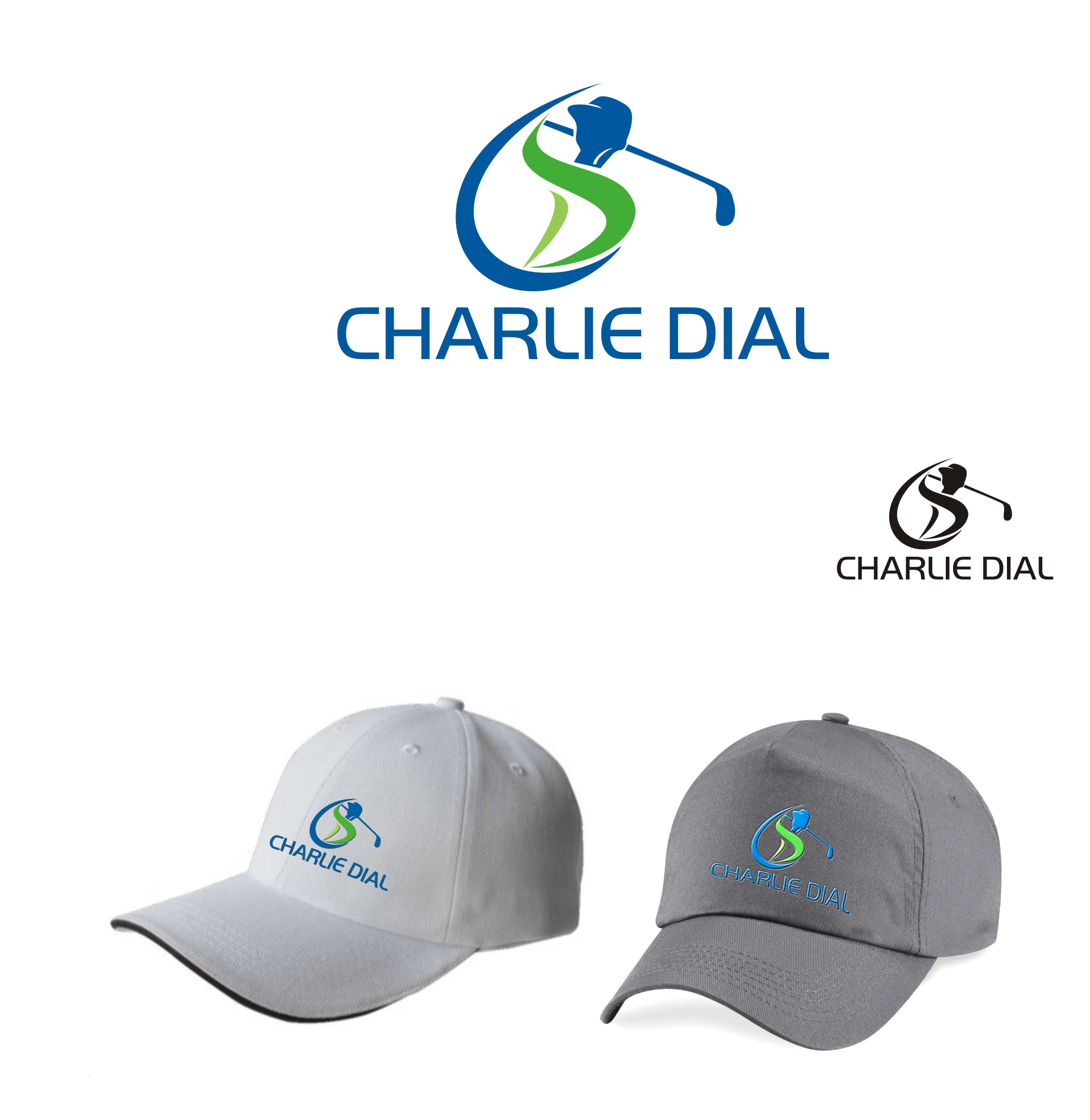 Logo Design by Falguni for this project | Design #32754429