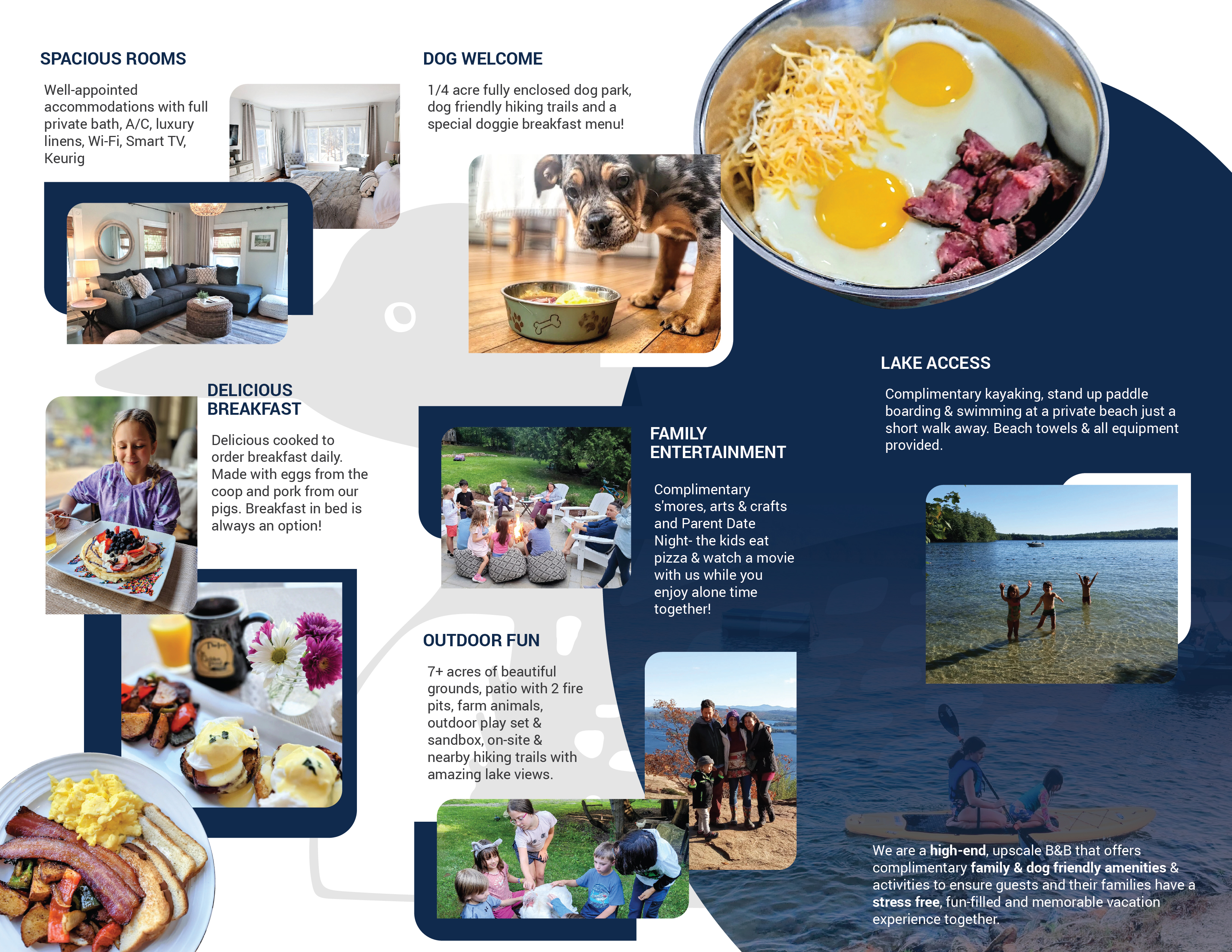 Brochure Design by Payel Paul for this project | Design #32738939