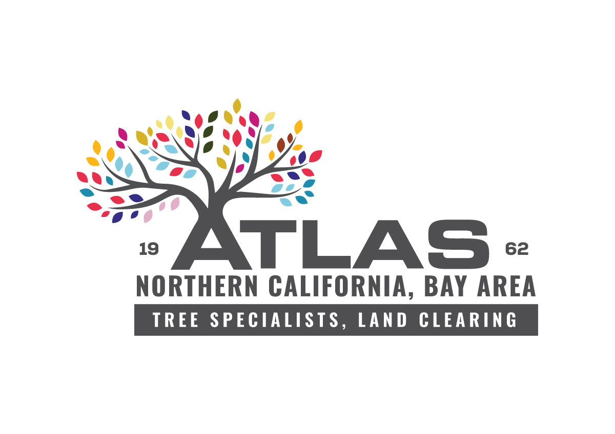 Logo Design by VirtueDesignPro for this project | Design #32730241