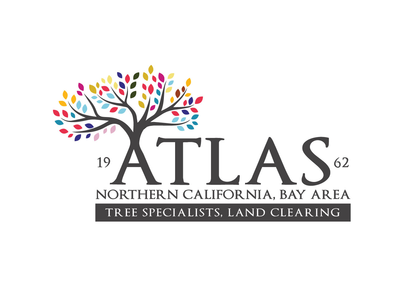 Logo Design by VirtueDesignPro for this project | Design #32733390