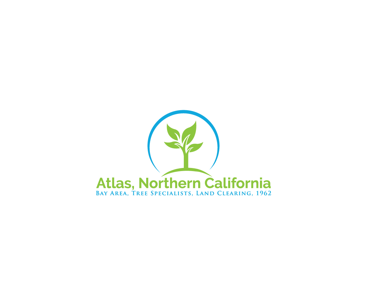 Logo Design by SoltBee for this project | Design #32728368