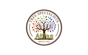 Logo Design by Zonda Studio for this project | Design: #32727757