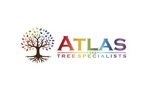 Logo Design by Zonda Studio for this project | Design: #32732381