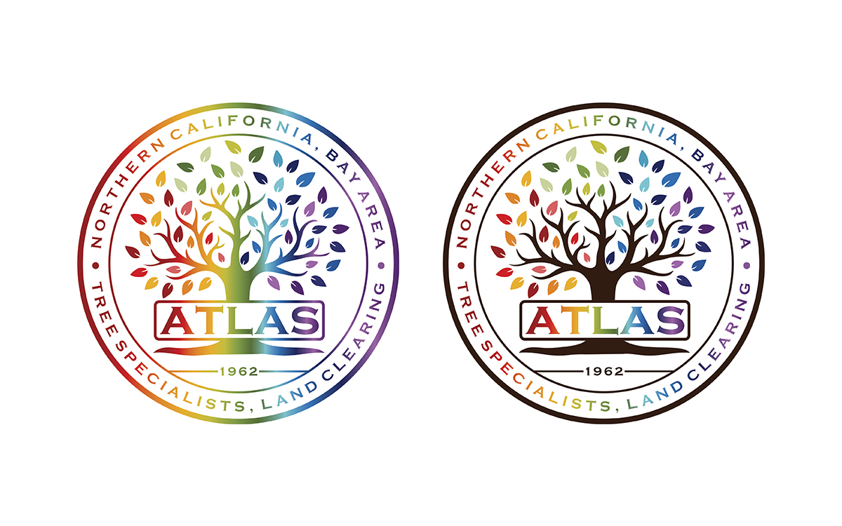 Logo-Design von Zonda Studio für dieses Projekt | Design #32775822