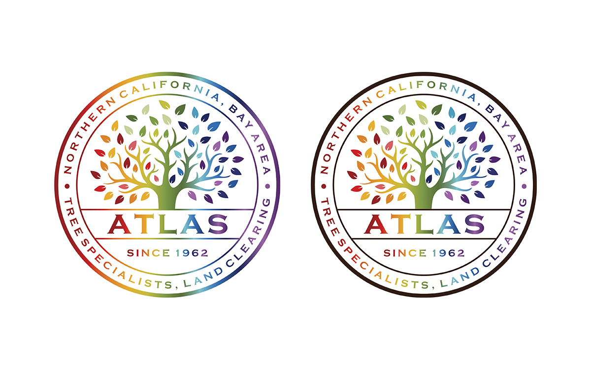 Logo Design by Zonda Studio for this project | Design #32775823