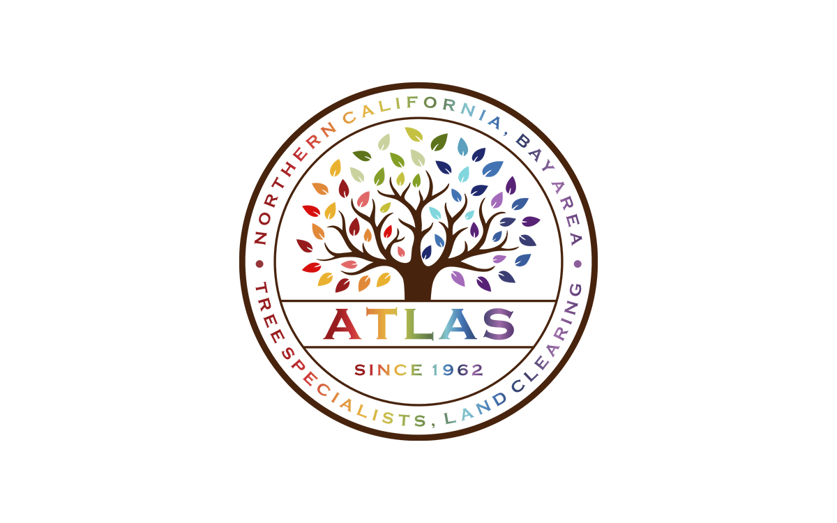 Logo Design by Zonda Studio for this project | Design #32775886