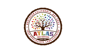 Logo Design by Zonda Studio for this project | Design: #32777684