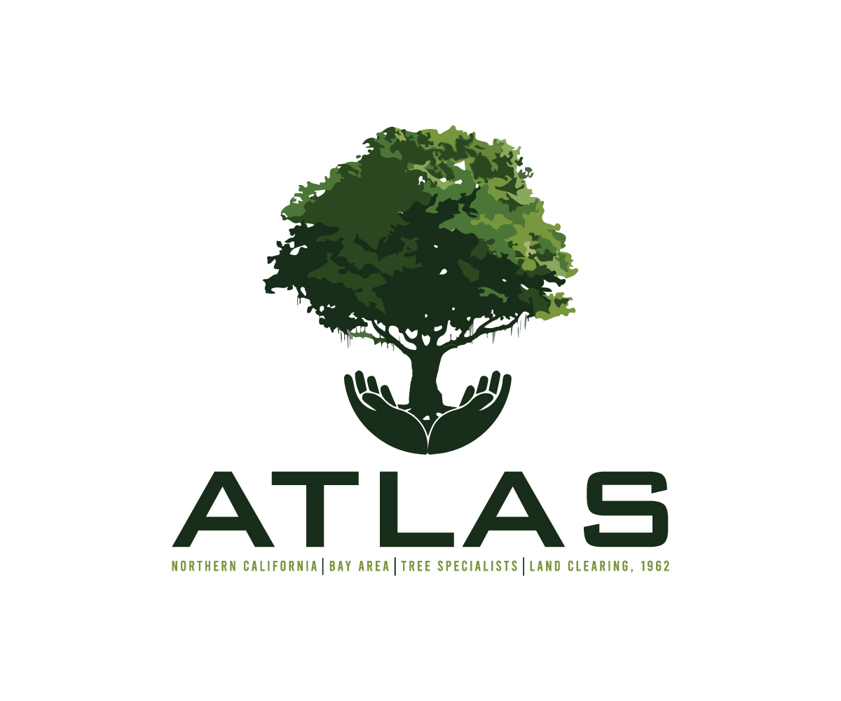 Logo Design by Nova_Create for this project | Design #32733409