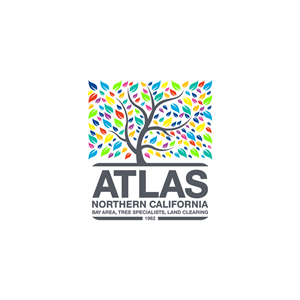 Logo Design by Apache Kretek for this project | Design: #32731282