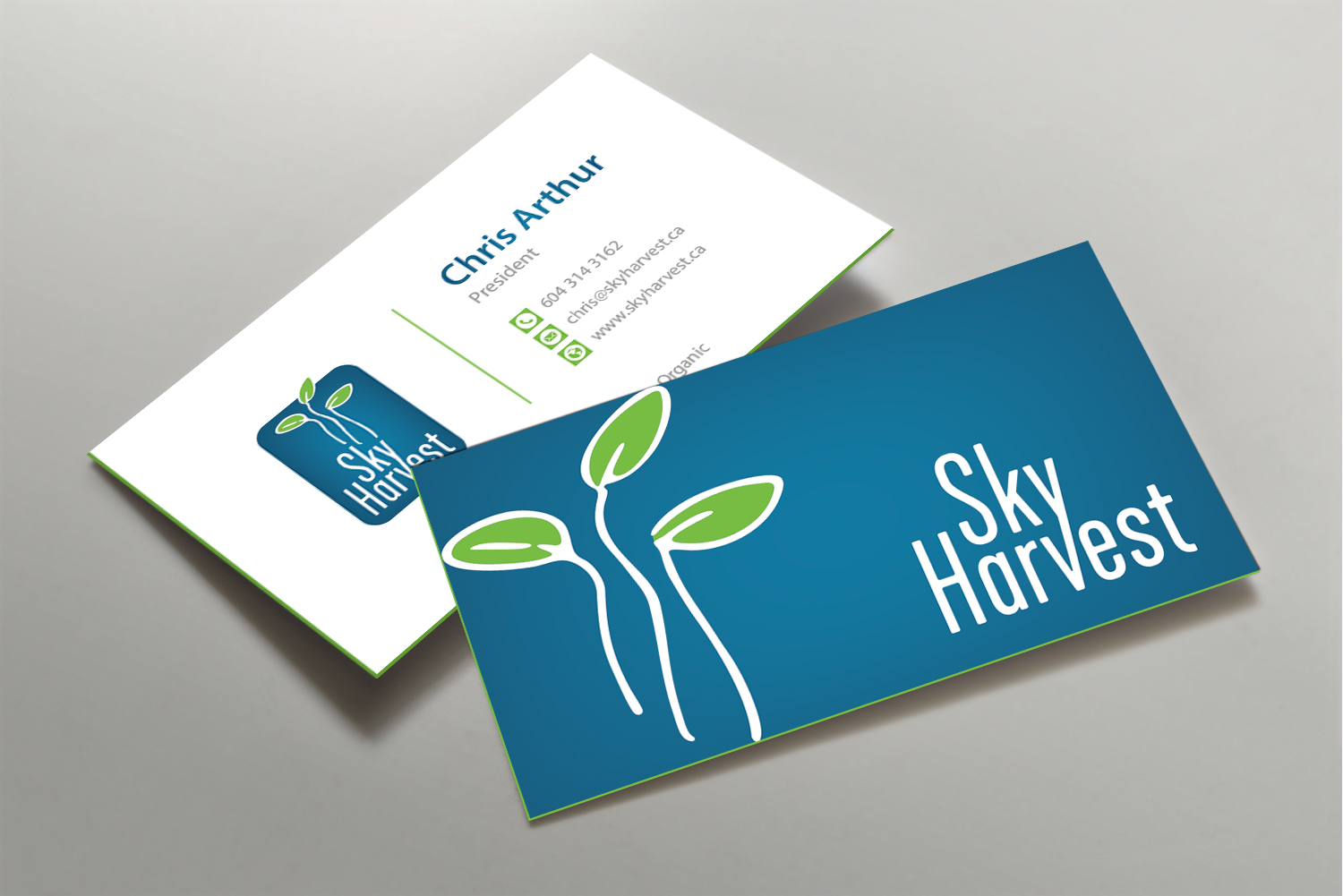 Visitenkarten-Design von DesignShout für dieses Projekt | Design #32729654