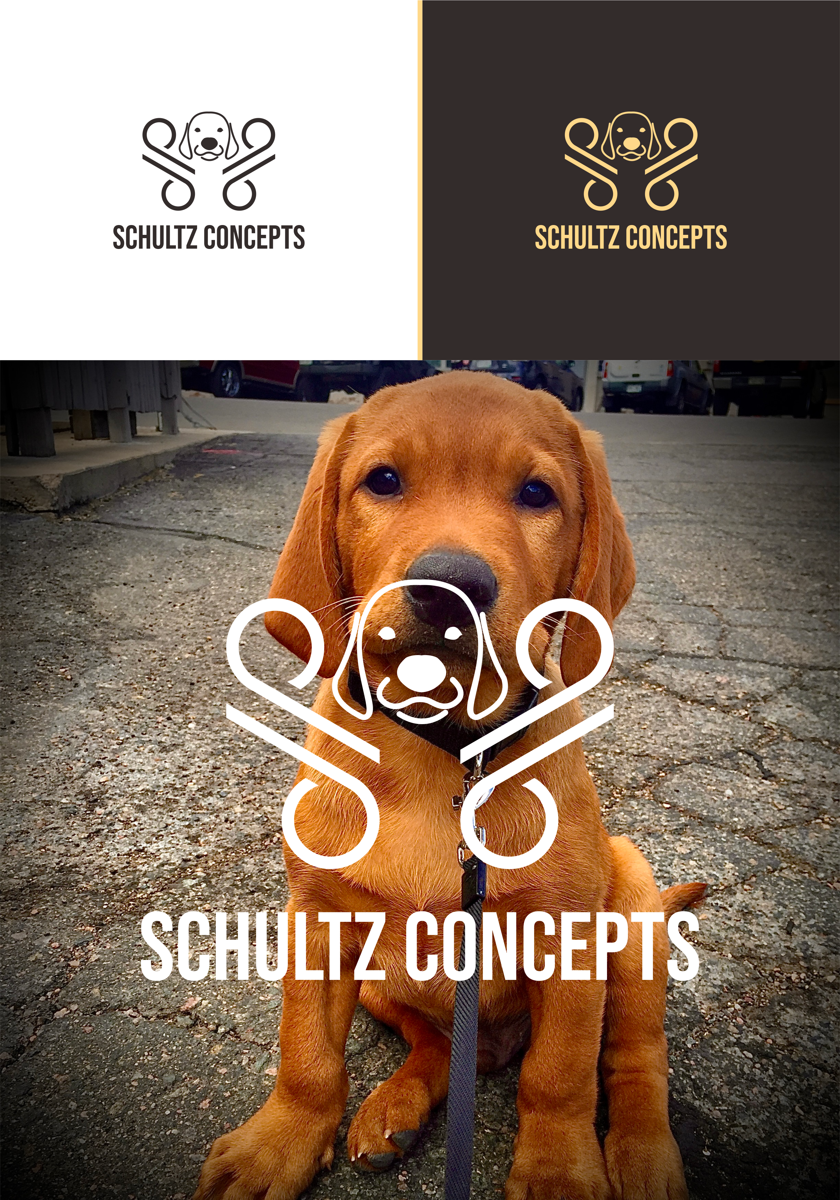 Logo Design by Afika_YN for this project | Design #32748093