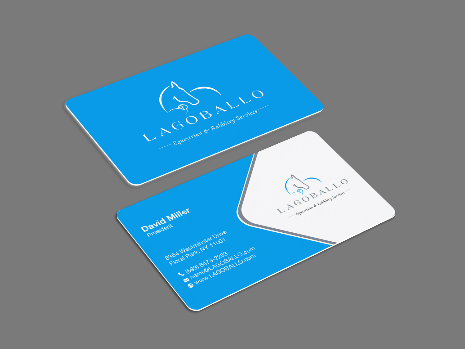 Business Card Design by Brand aid for this project | Design #32743427