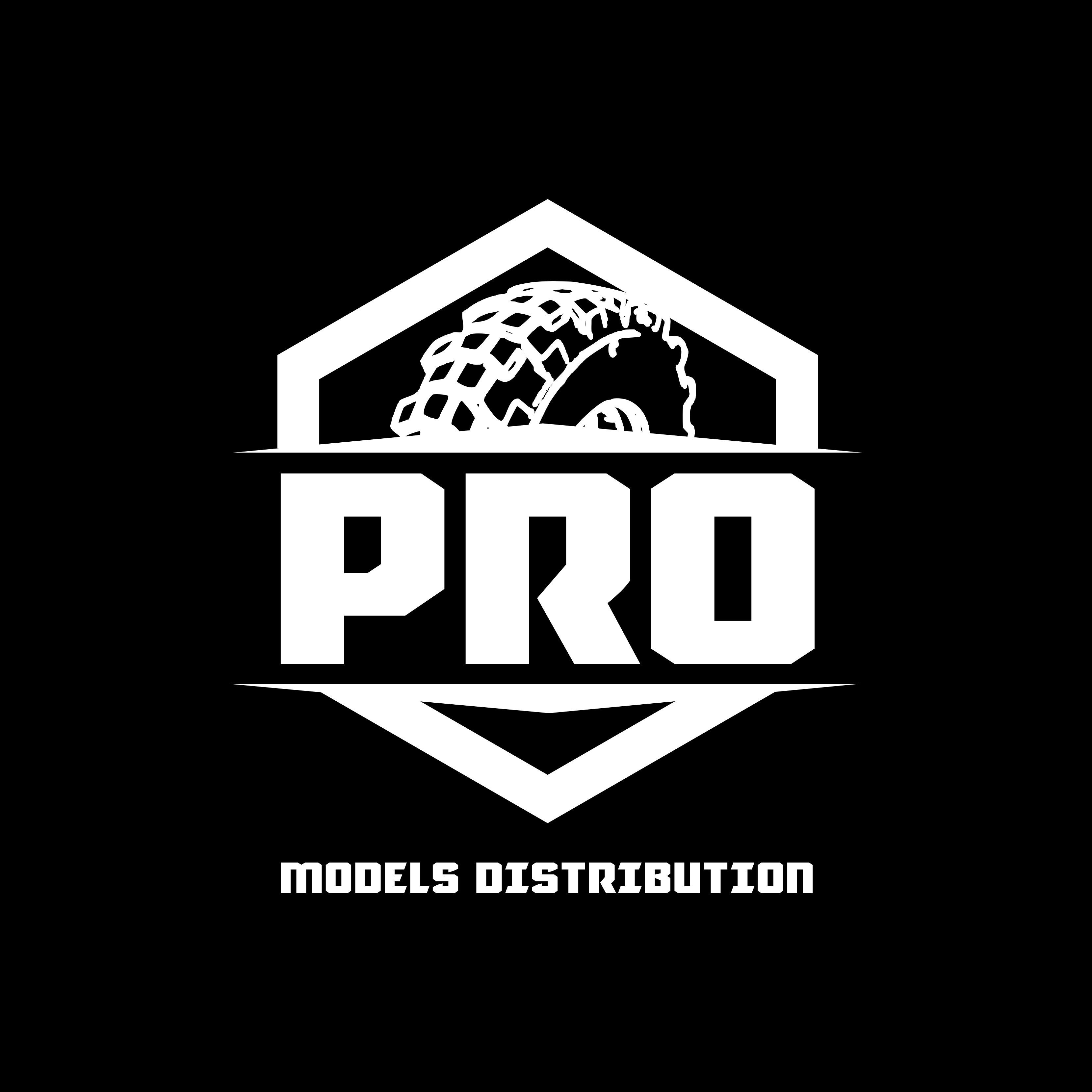 Logo Design by sachin95 for Pro Models bvba | Design #32780511