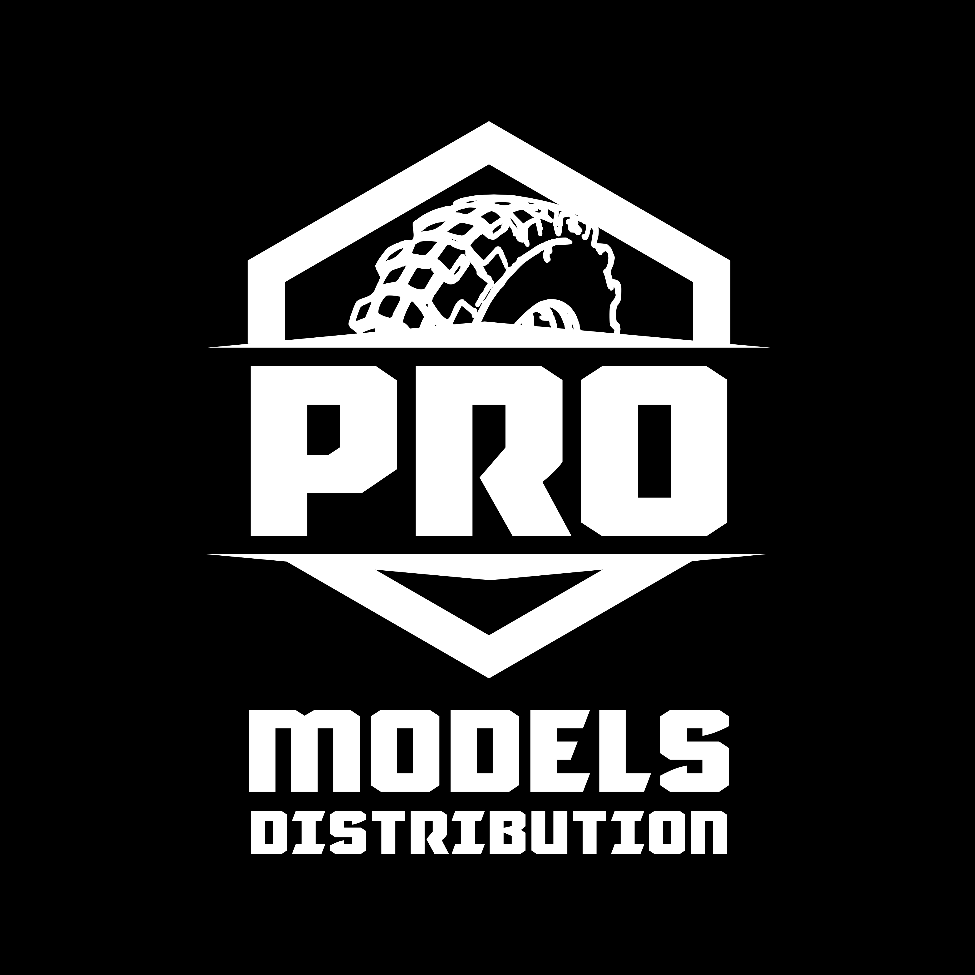 Logo Design by sachin95 for Pro Models bvba | Design #32780512