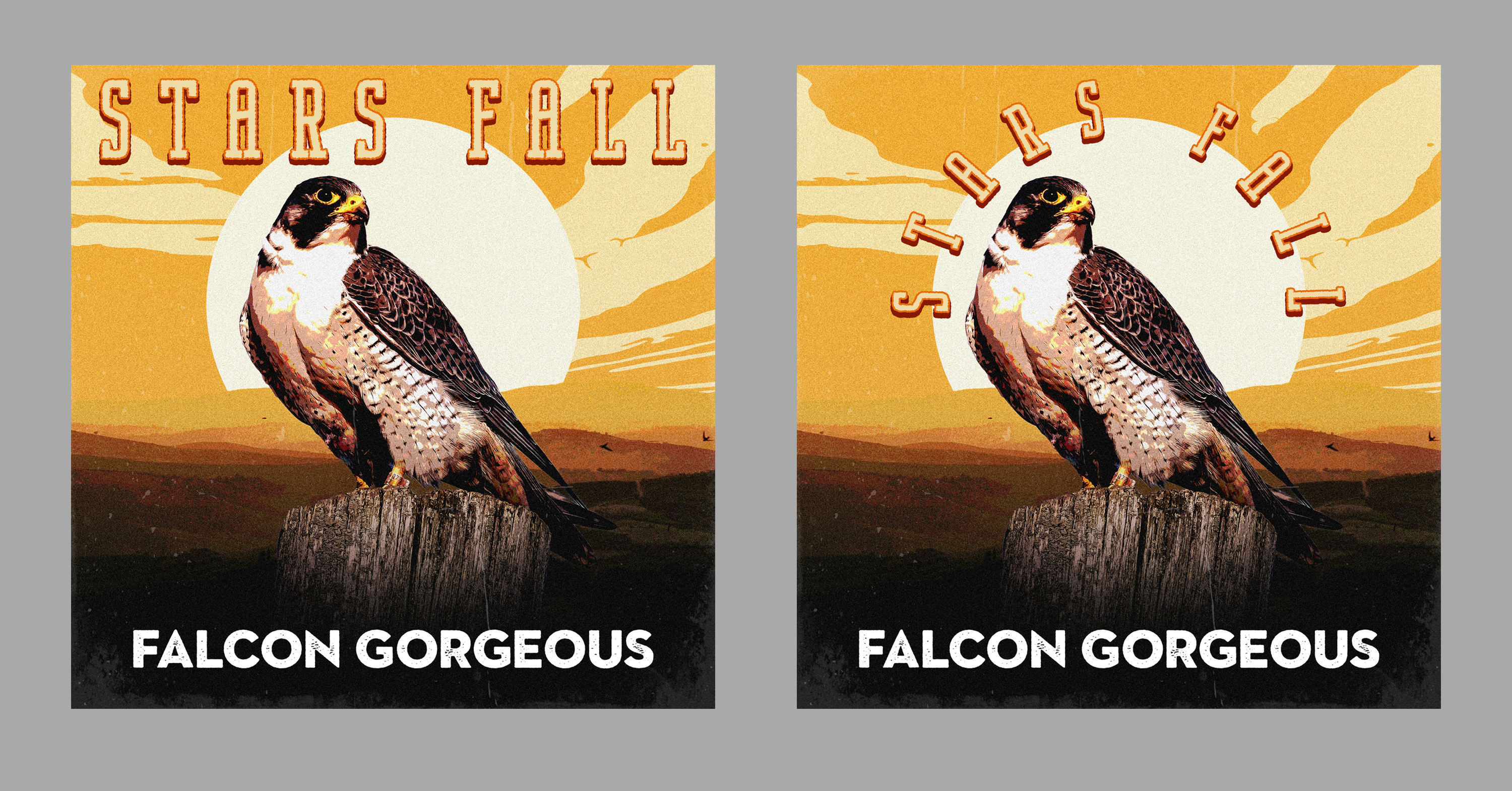 CD Cover Design by Graphic Storm for this project | Design #32765389