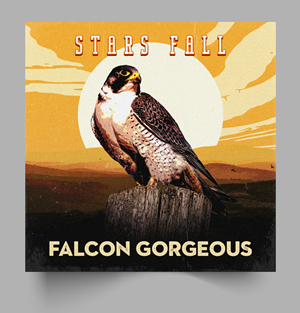CD Cover Design by Graphic Storm for this project | Design: #32767857