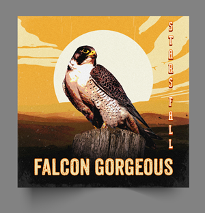 CD Cover Design by Graphic Storm