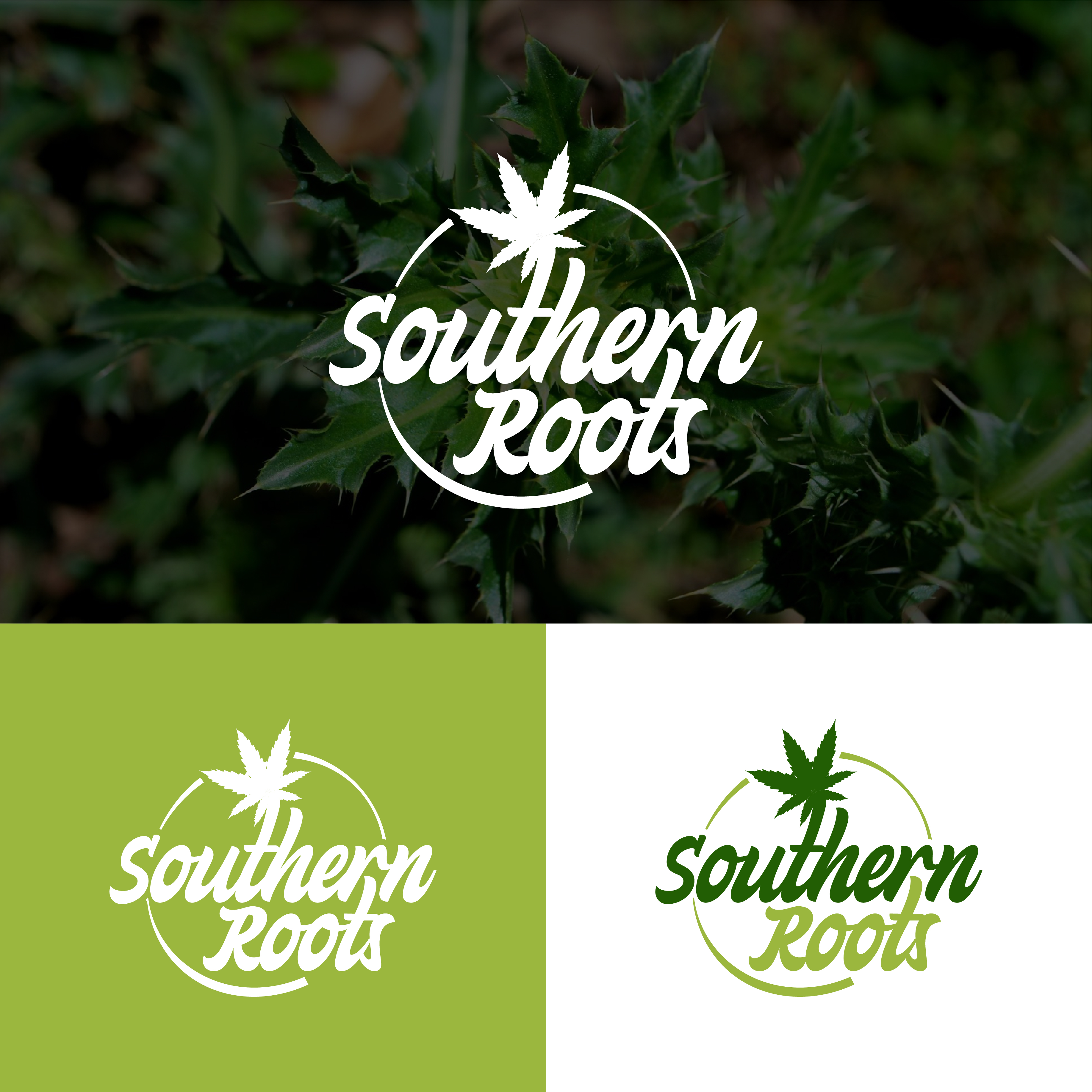 Logo Design by Design Athics for this project | Design #32756149