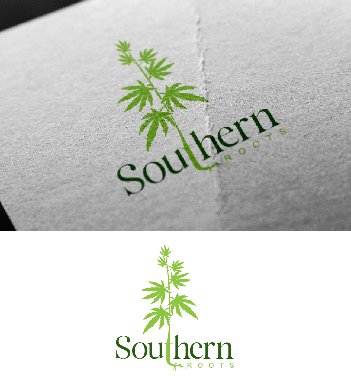 Logo Design by fly  design for this project | Design #32755889