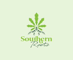 Logo Design by Ansh Design for this project | Design: #32755558