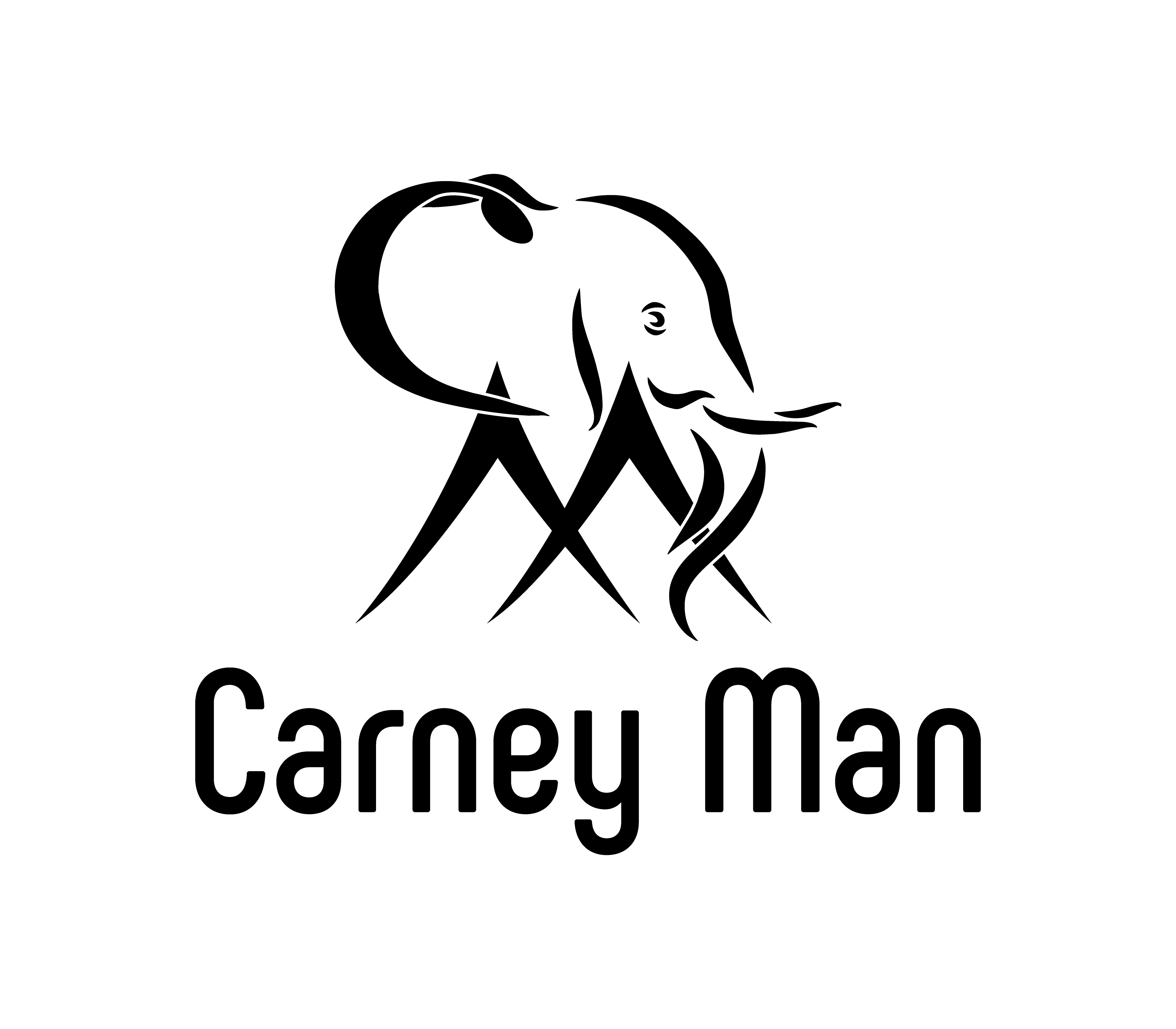 Logo-Design von Nova_Create für dieses Projekt | Design #32770335