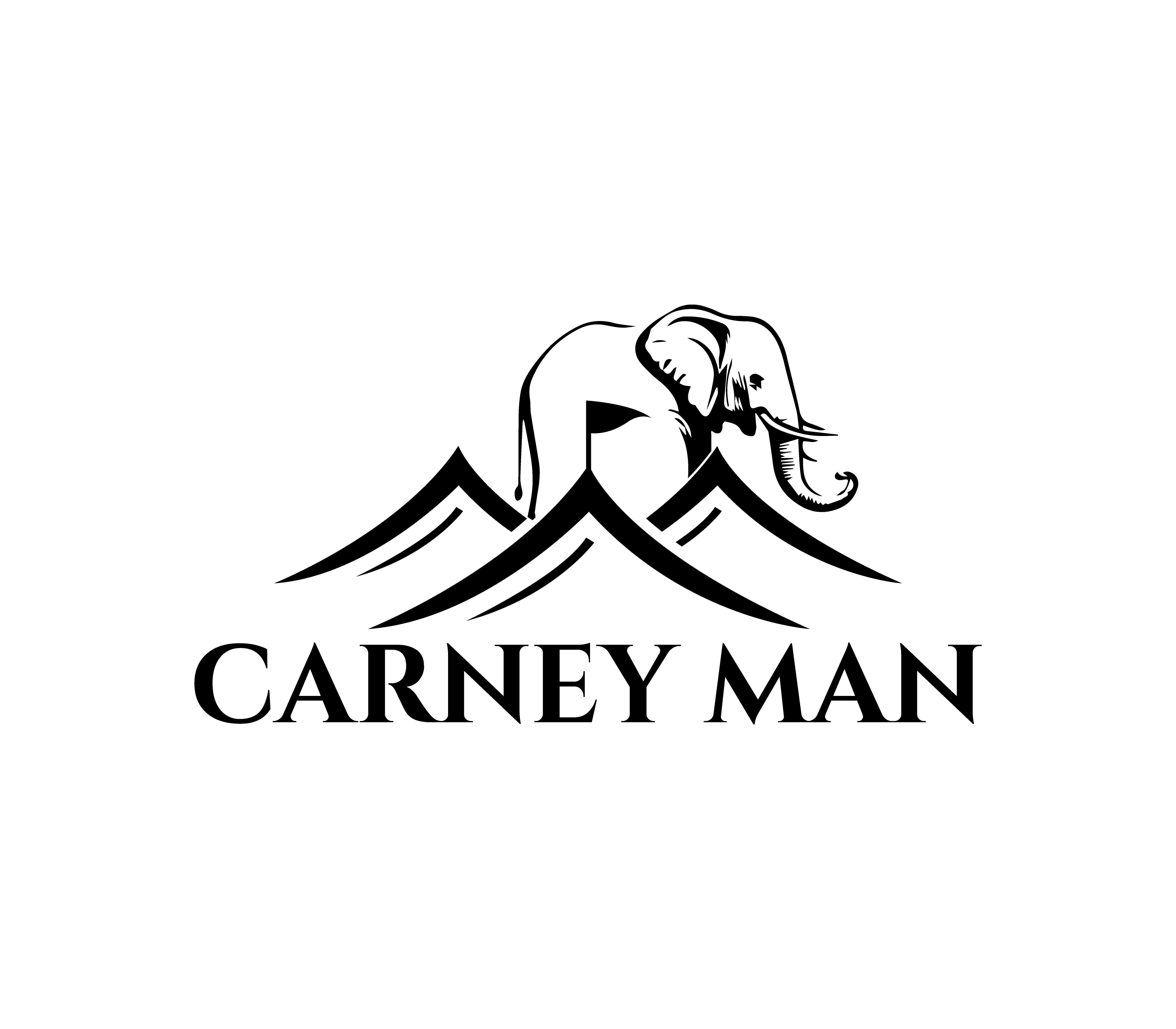 Logo-Design von Nova_Create für dieses Projekt | Design #32855899