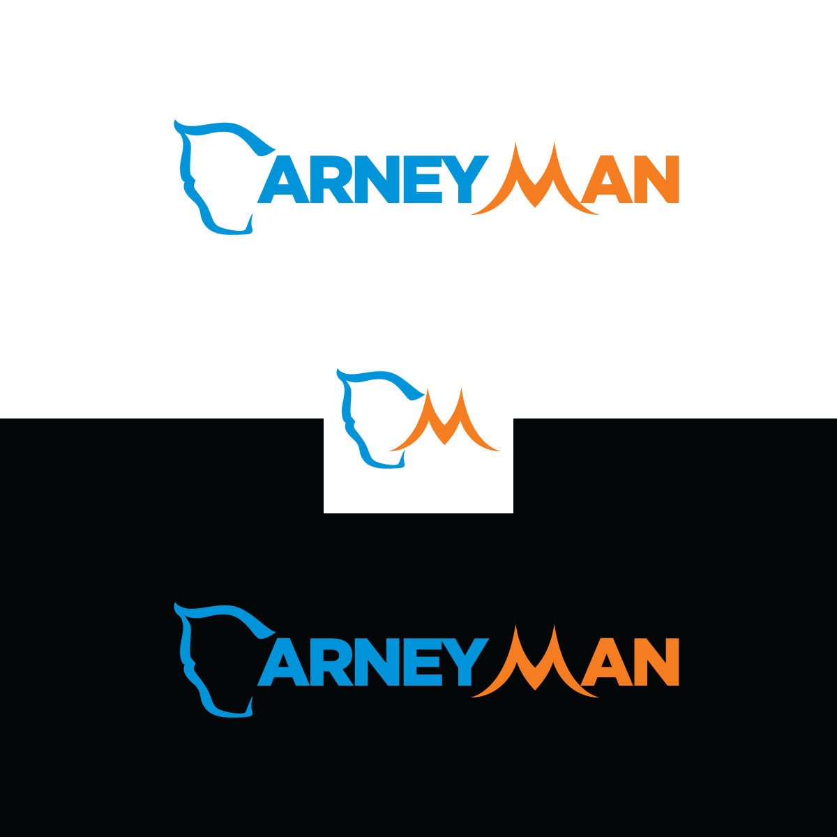 Diseño de Logo por prodesigns99 para este proyecto | Diseño #32859997