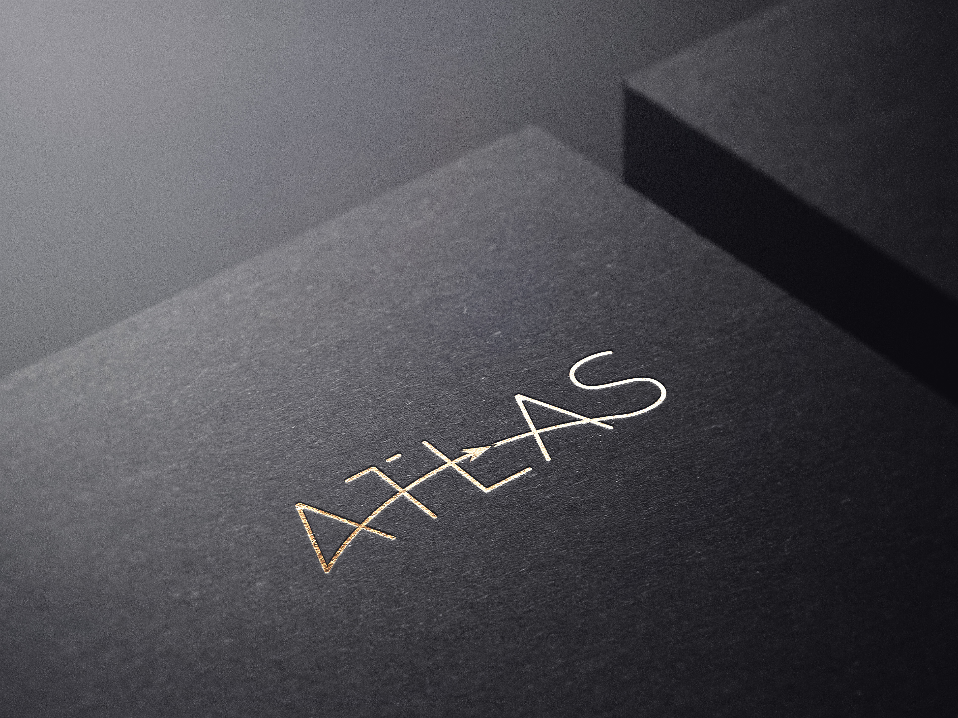 Logo-Design von The Pixelcraft Studio für potomac aviation | Design #32757984