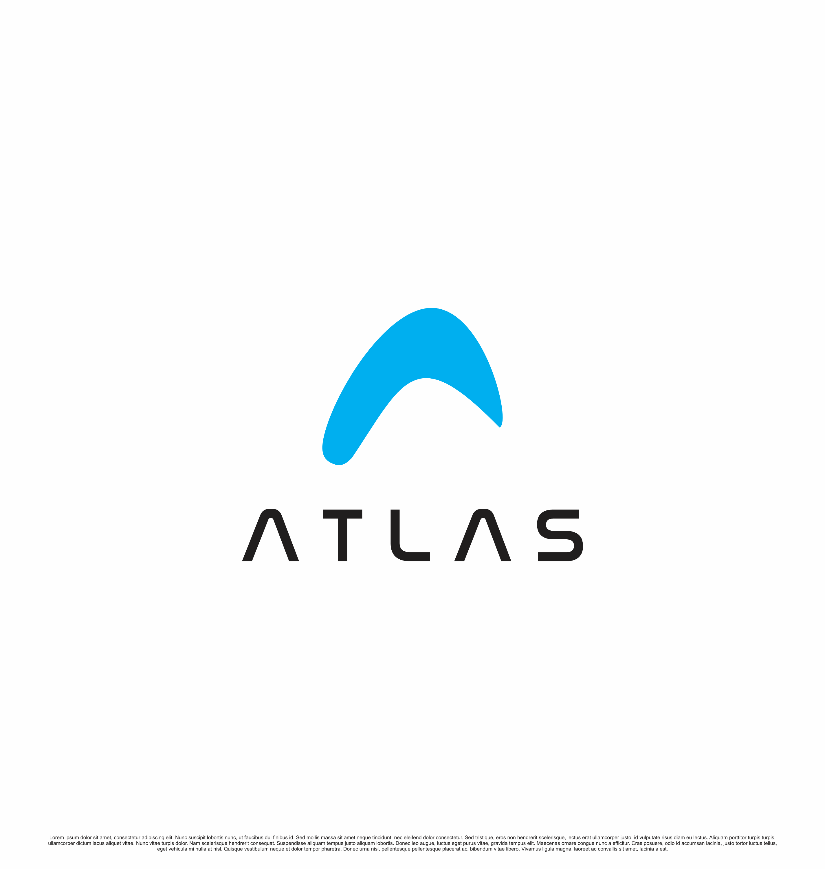 Logo Design by saesean for potomac aviation | Design #32779849