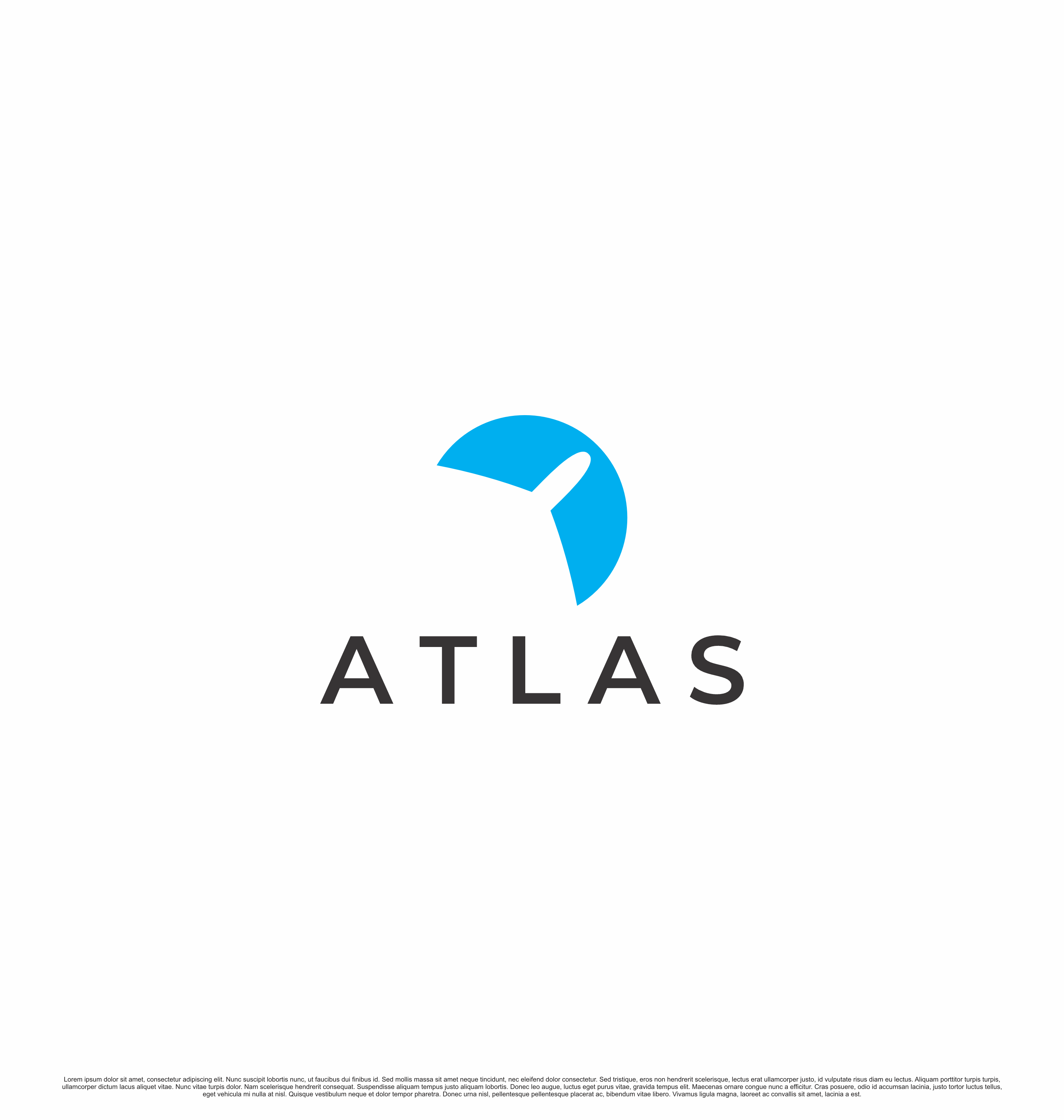 Logo Design by saesean for potomac aviation | Design #32779850