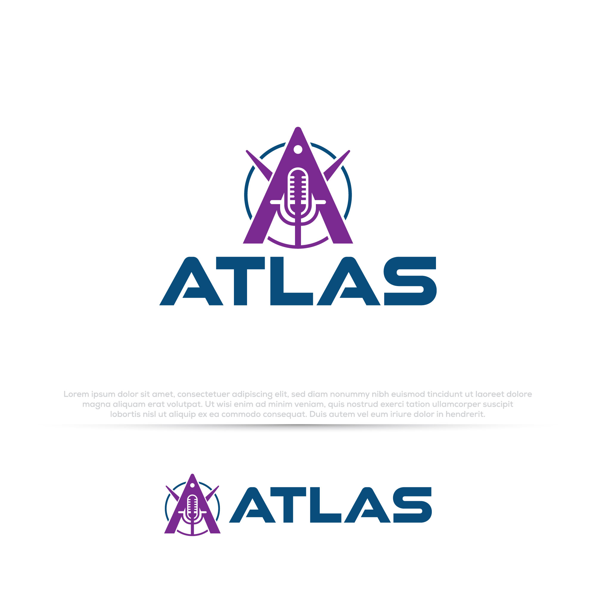 Diseño de Logo por Pilot_DesignR™ para potomac aviation | Diseño #32758095