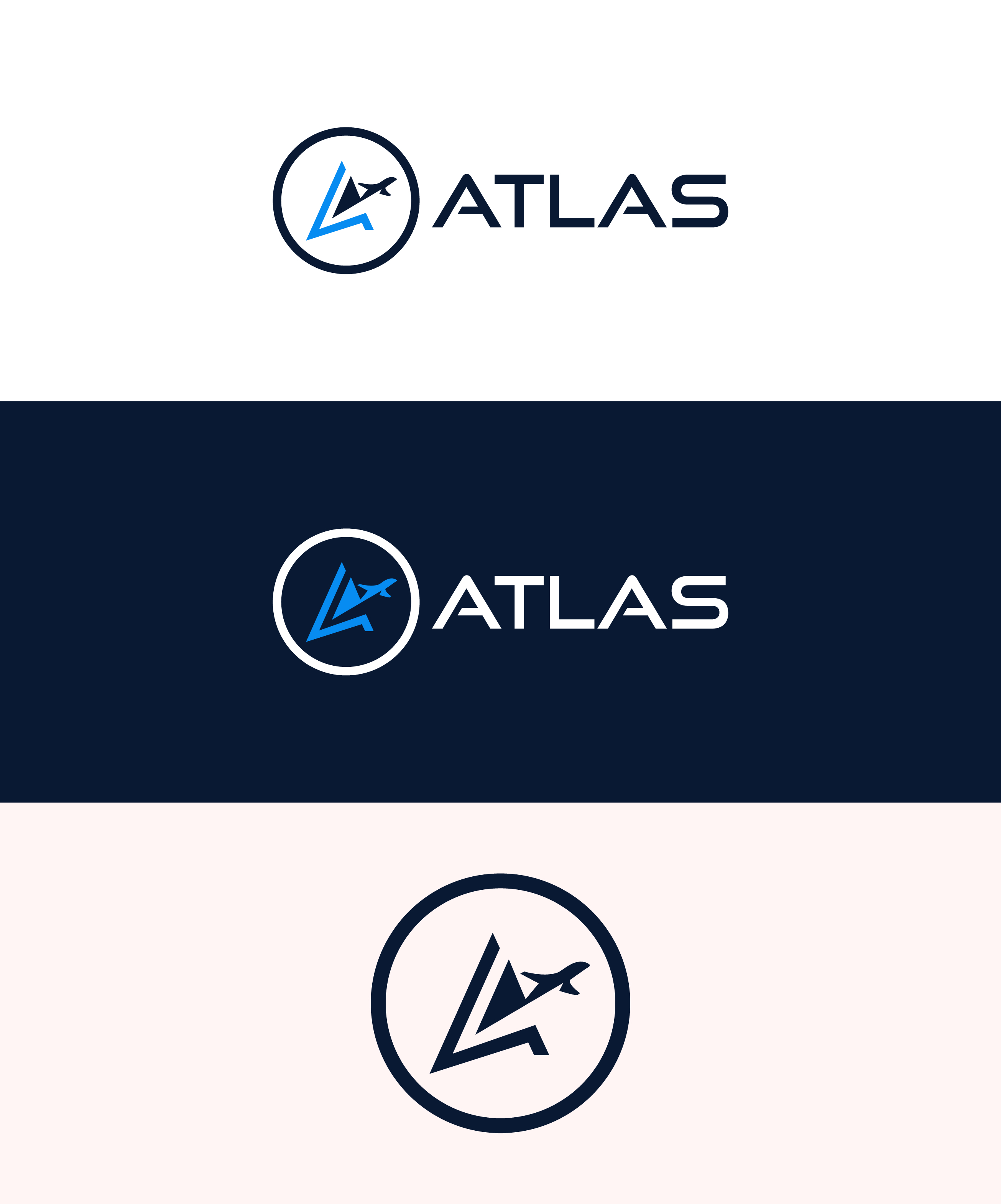 Logo Design by Creative Poli for potomac aviation | Design #32760152