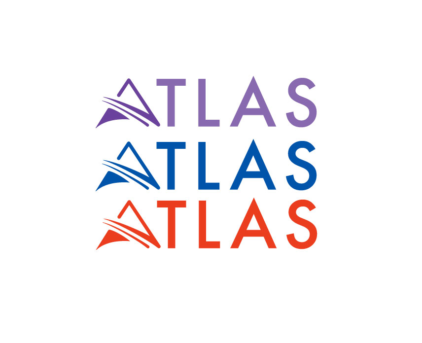 Logo-Design von NetSpidy für potomac aviation | Design #32792176