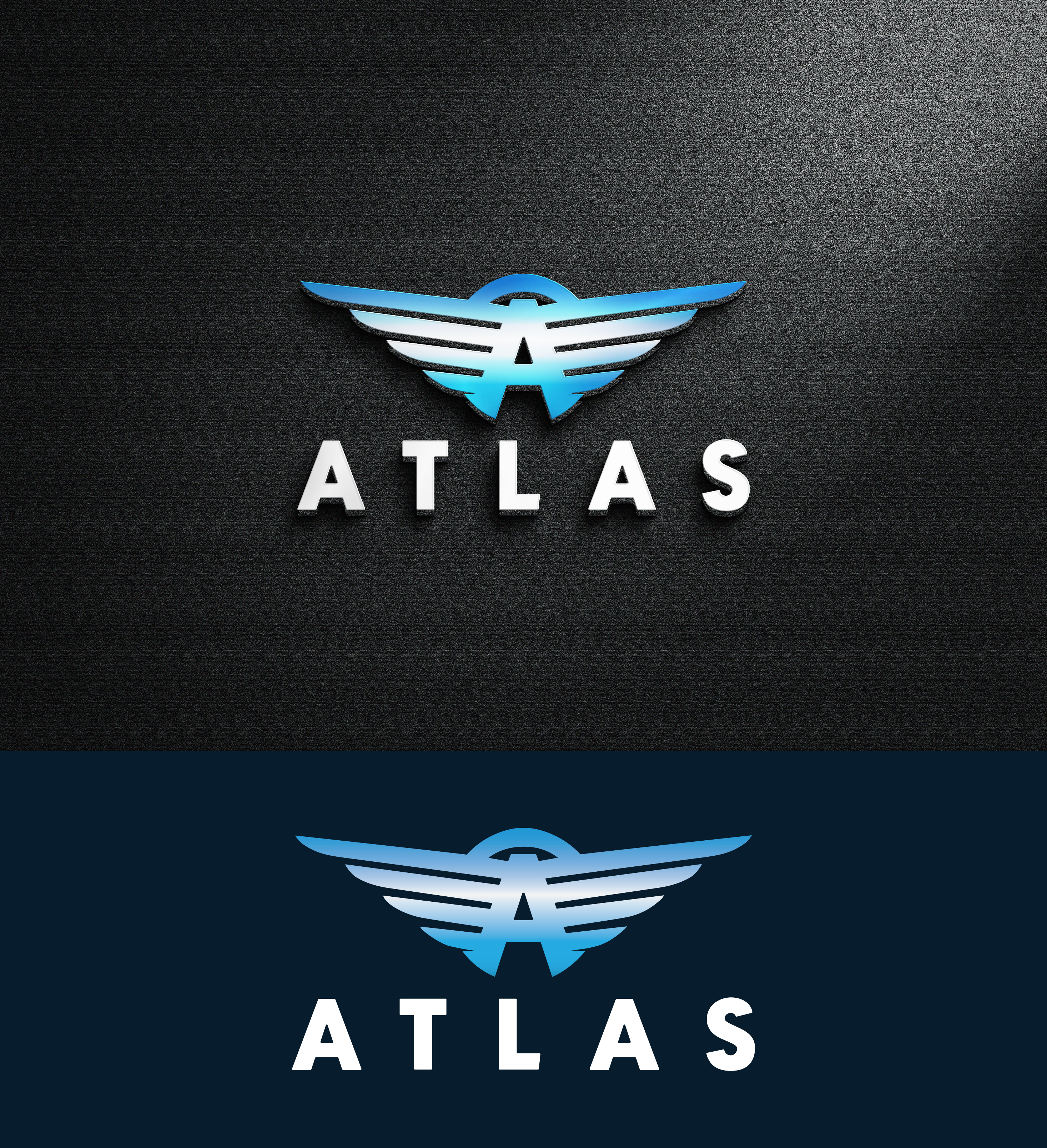 Logo Design by Impressive Designs for potomac aviation | Design #32762846