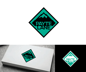 Logo Design by Ansh Design for this project | Design: #32761745