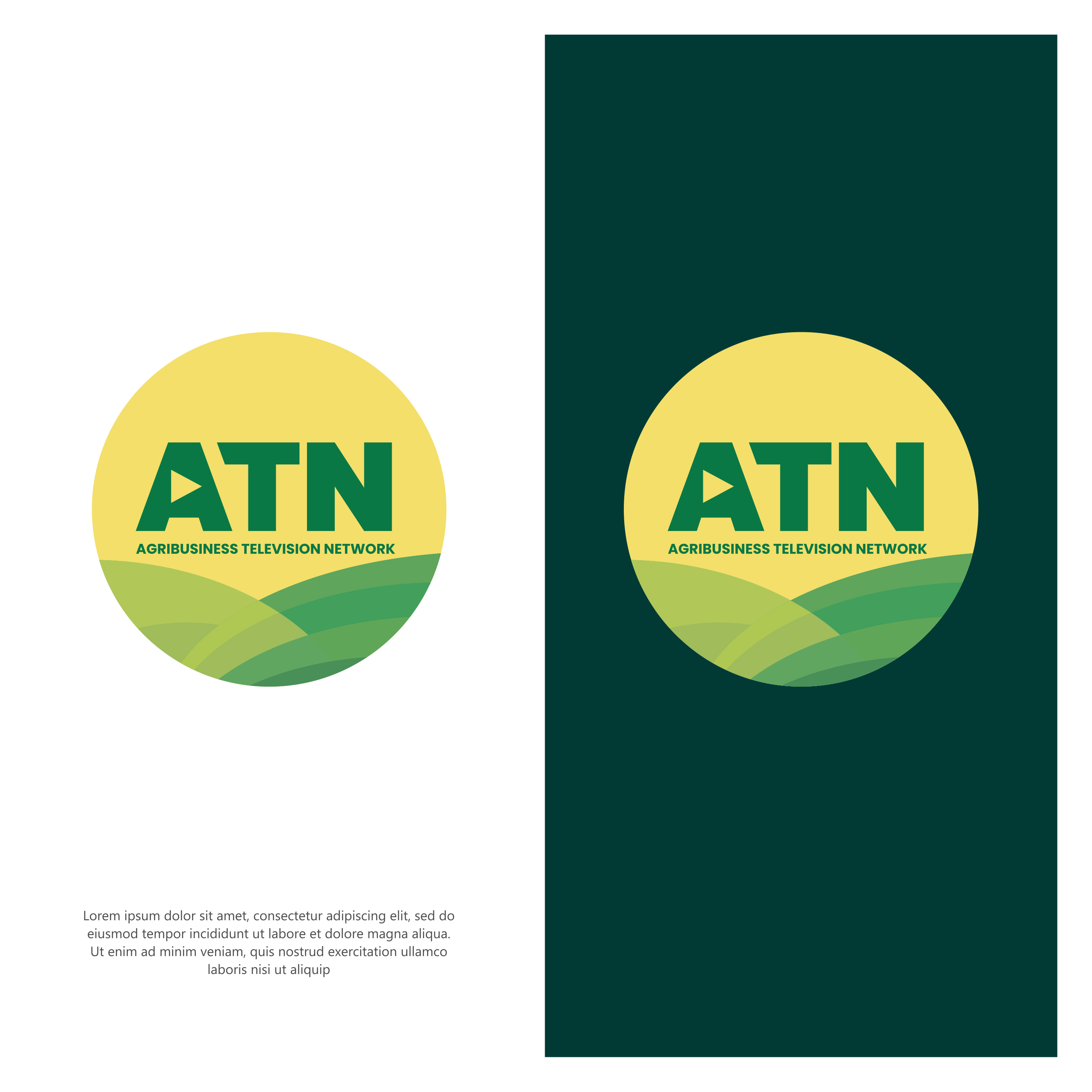 Graphic Design by ThiagoB for this project | Design #32765366