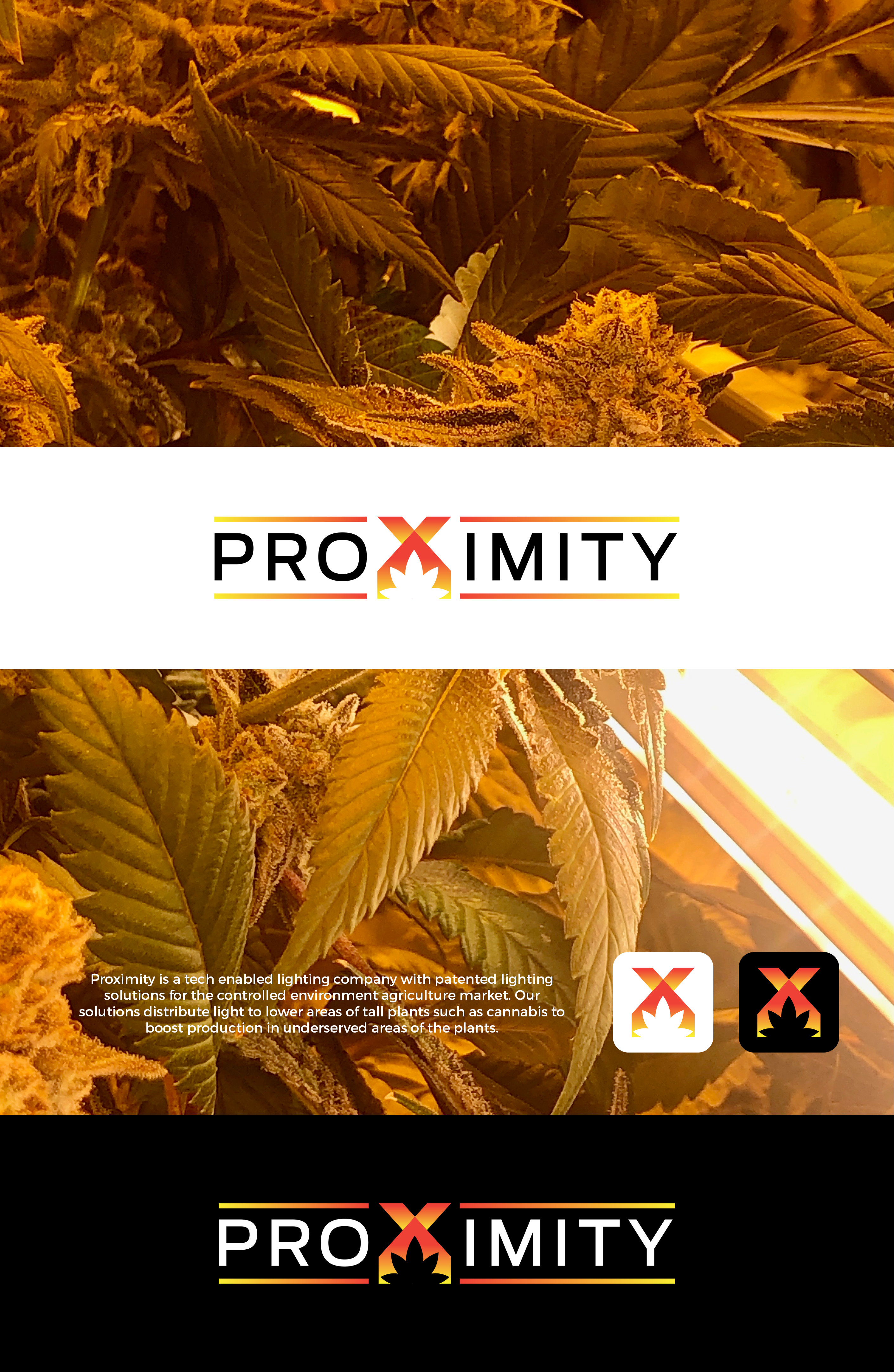 Logo Design by creative.visuals for this project | Design #32801385