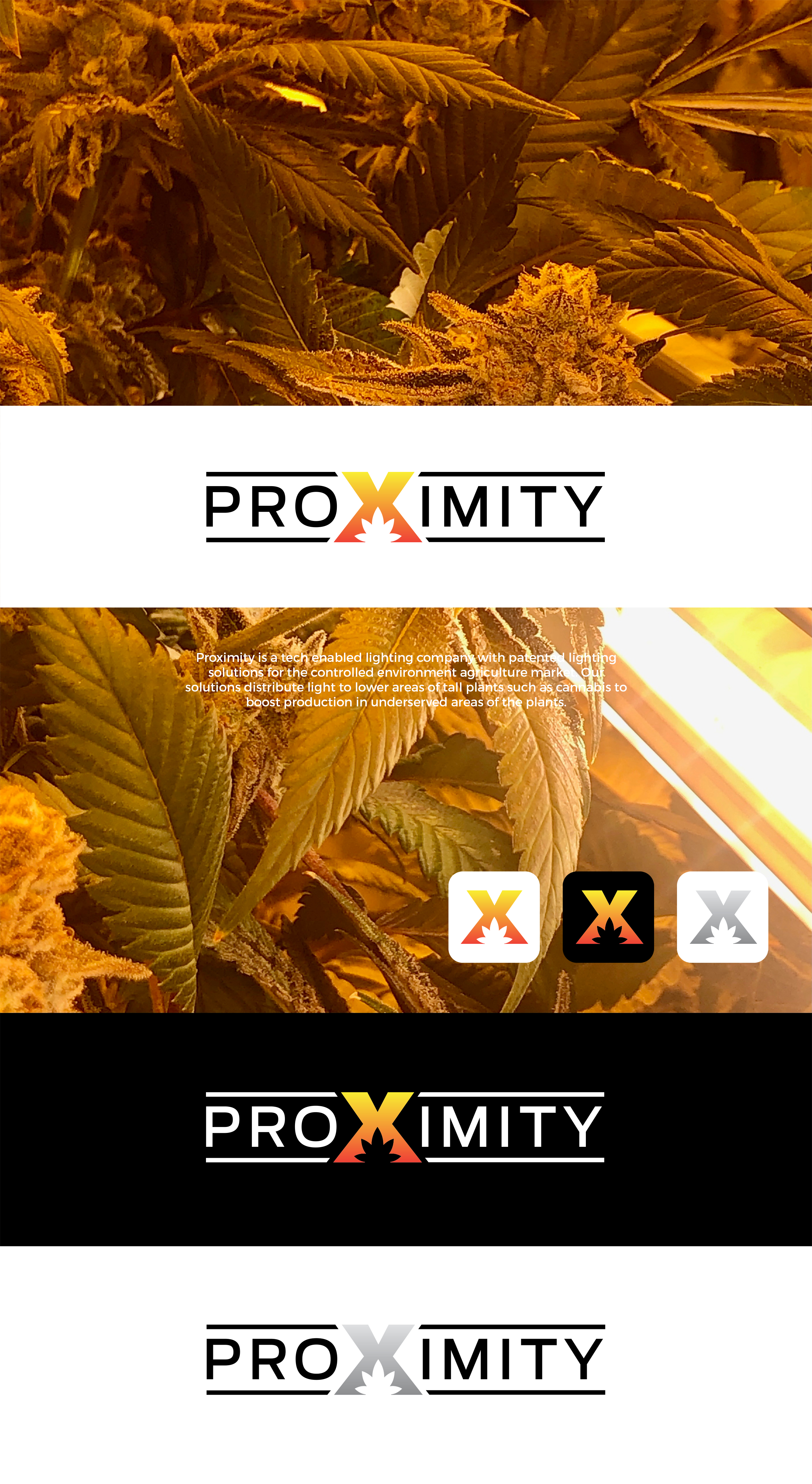 Logo Design by creative.visuals for this project | Design #32829747