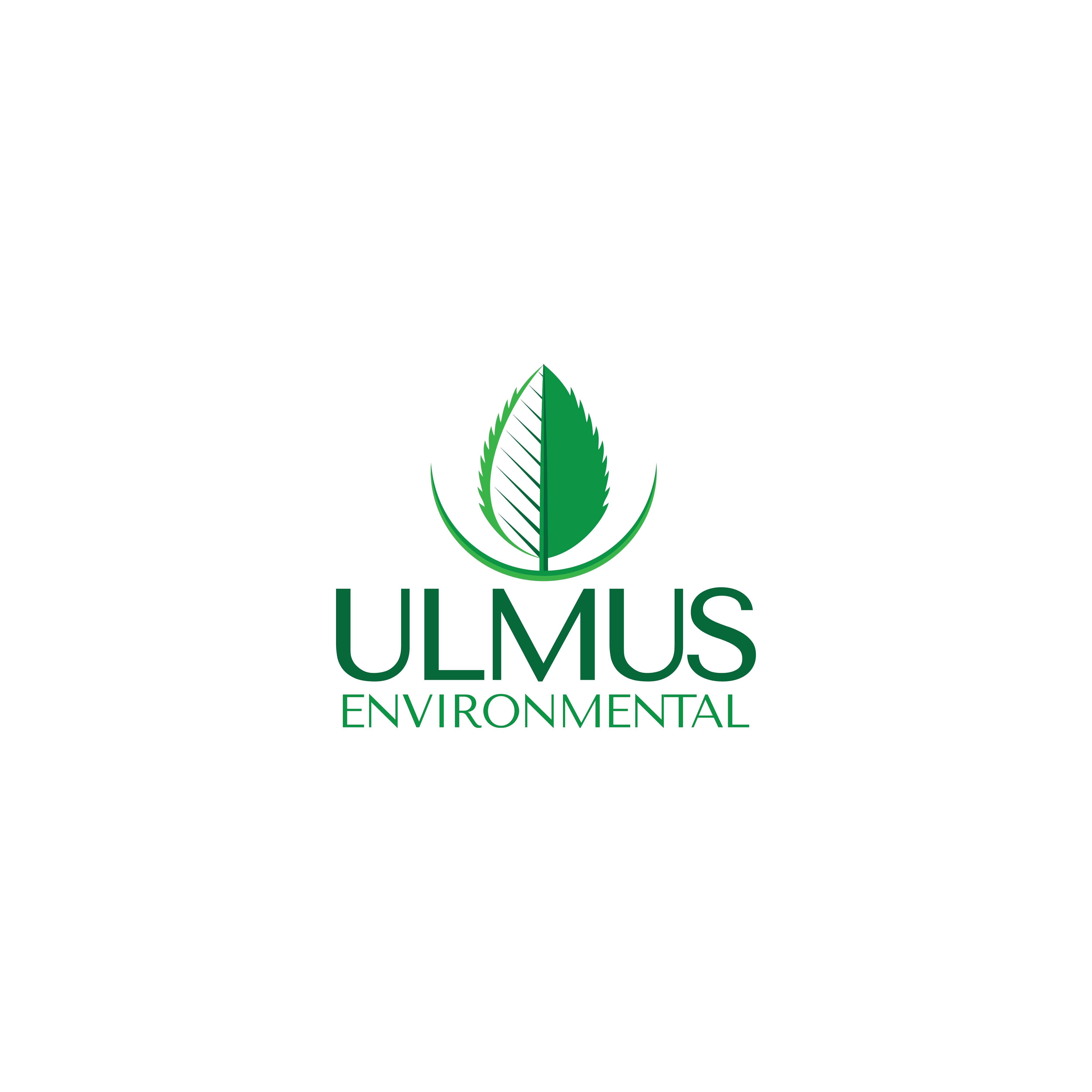 Diseño de Logo por Kryss Denmar para este proyecto | Diseño #32768797